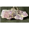 Image 2 : SMALL AMETHYST TREE RETAIL $680