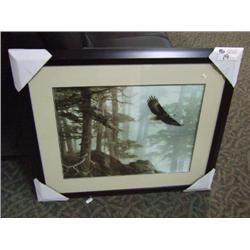 eagle Soaring Print