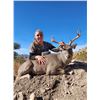 Image 1 : 8-Day, Seven Night Coues Deer Hunt for 1 Hunter in Mexico