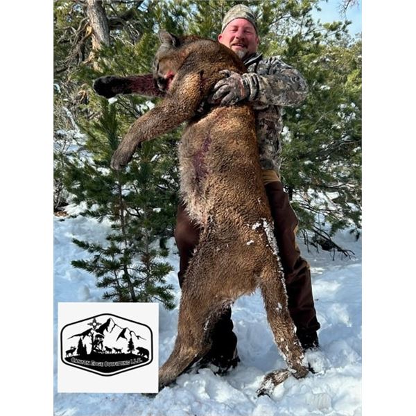5-day New Mexico Mountain Lion Hunt