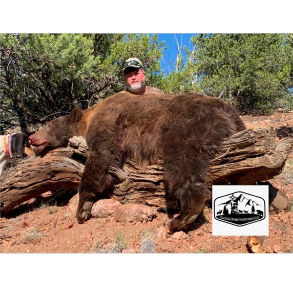 5-day New Mexico Bear Hunt with Hounds