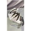 Image 3 : ORTHOCERAS FOSSIL APPROX 9" RETAIL $800