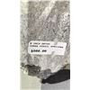Image 4 : ORTHOCERAS FOSSIL APPROX 9" RETAIL $800