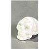 Image 2 : HOWLITE SKULL RETAIL $380