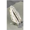 Image 2 : 4" ORTHOCERAS FOSSIL RETAIL $300