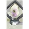 Image 4 : AMETHYST CLUSTER PIPE RETAIL $580