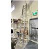 Image 1 : EAGLE PRO PROFESSIONAL 12' ALUMINUM EXTENSION LADDER