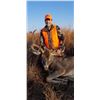 Image 1 : Wyoming Rifle Whitetail Deer Hunt