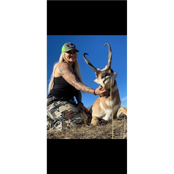 Semi-Guided Antelope Buck in New Mexico