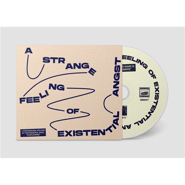 NEW SUNFLOWERS THE BAND A STRANGE FEELING OF