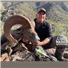 Image 2 : 5-day Mexico Desert Bighorn Sheep