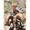 Image 3 : 5-day Mexico Desert Bighorn Sheep