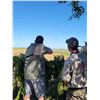 Image 2 : High Volume Dove hunt for 8 hunters in Argentina