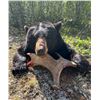 Image 3 : Saskatchewan Black Bear Hunt