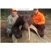 Image 5 : Saskatchewan Black Bear Hunt