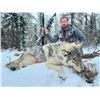 Image 1 : Alberta wolf hunt with Reel Exposure Guiding
