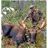 Image 1 : Newfoundland moose hunt for 1 hunter.