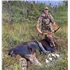 Image 2 : Newfoundland moose hunt for 1 hunter.