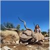 Image 1 : Trophy Kudu hunt for 2 hunters with Vos & CO