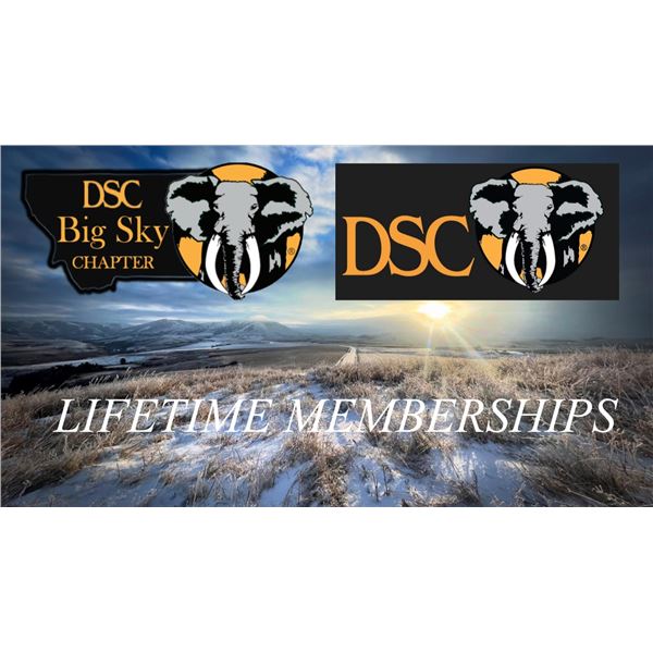 National and Chapter Lifetime DSC Memberships
