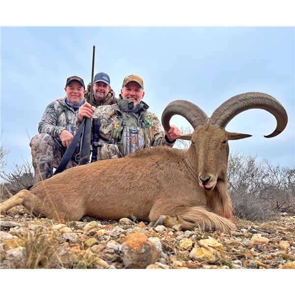 Texas Whitetail or Aoudad hunt for 1 hunter and 1 observer