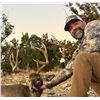Image 4 : Texas Whitetail or Aoudad hunt for 1 hunter and 1 observer