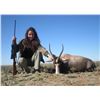 Image 2 : 6-day Safari for 2 hunters and 2 observers with Jannie Otto Safaris
