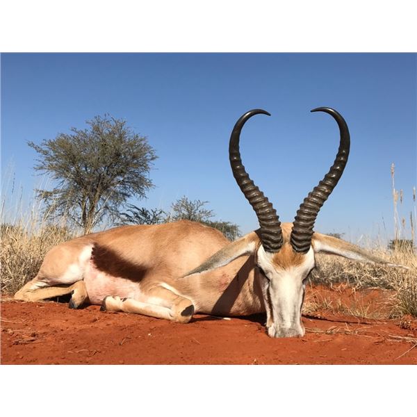 6-day South Africa Safari for 2 hunters