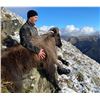 Image 1 : Himalayan Bull Tahr Hunt in New Zealand