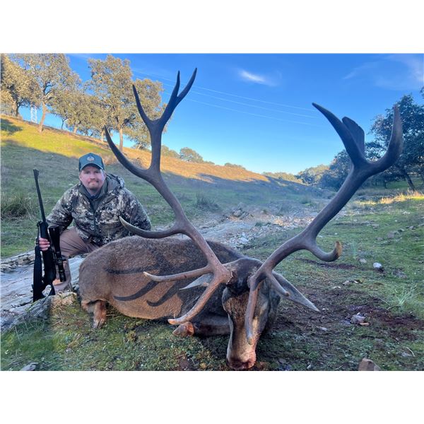 Red Stag hunt/Wine Tasting experience in Spain