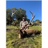 Image 2 : Red Stag hunt/Wine Tasting experience in Spain