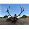 Image 3 : Red Stag hunt/Wine Tasting experience in Spain
