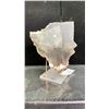 Image 2 : PHANTOM FLUORITE RETAIL $2500