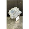 Image 2 : CELESTITE ROUGH APPROX 3.7" RETAIL $450