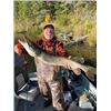 Image 3 : 5-DAY/6- NIGHT ONTARIO FISHING TRIP FOR 2 - $3,700 / EXHIBITOR