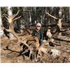 Image 3 : SPANISH RED DEER OR FALLOW DEER HUNT WITH SIGHTSEEING FOR 1  HUNTER AND 1 OBSERVER - $4,400