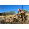 Image 3 : MEXICAN COUES DEER FOR 1 HUNTER - $6,500 / EXHIBITOR
