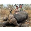 Image 1 : MOZAMBIQUE NIASSA 10-DAY FREE RANGE BUFFLAO HUNT FOR 1 - $16,000 / EXHIBITOR