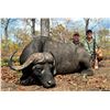 Image 4 : MOZAMBIQUE NIASSA 10-DAY FREE RANGE BUFFLAO HUNT FOR 1 - $16,000 / EXHIBITOR