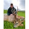 Image 1 : SCOTLAND SPRING ROE DEER HUNT ON PRESTIGIOUS AND EXCLUSIVE ESTATES FOR ROE BUCK WITH AIRFARE - OVER 