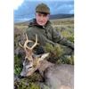 Image 3 : SCOTLAND SPRING ROE DEER HUNT ON PRESTIGIOUS AND EXCLUSIVE ESTATES FOR ROE BUCK WITH AIRFARE - OVER 