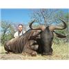 Image 4 : VICTORIA FALLS SIGHTSEEING & SOUTH AFRICAN PLAINS GAME SAFARI FOR 1 HUNTER AND 1 OBSERVER - $10,700 