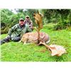 Image 3 : NEW ZEALAND GUIDING AND LODGING PACAKGE FOR 2 HUNTERS AND 2  OBSERVERS - $9,250 / EXHIBITOR