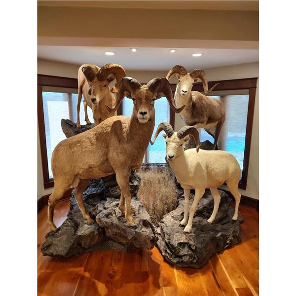 TAXIDERMY CREDIT - $2,500 / EXHIBITOR