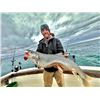Image 1 : GUIDED 6-PERSON LAKE MICHIGAN FISHING CHARTER - $1,600 / EXHIBITOR