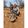 Image 2 : 5-DAY AFRICAN RIFLE HUNT FOR 1 FEMALE HUNTER - $5,000 / EXHIBITOR