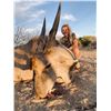 Image 4 : 5-DAY AFRICAN RIFLE HUNT FOR 1 FEMALE HUNTER - $5,000 / EXHIBITOR