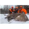 Image 2 : 5-DAY NORTHERN WISCONSIN WHITETAILHUNT - $5,500 / EXHIBITOR