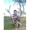 Image 3 : ARGENTINA RED STAG FOR 1 HUNTER- $7,000