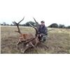 Image 4 : ARGENTINA RED STAG FOR 1 HUNTER- $7,000